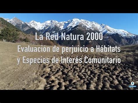 La Red Natura Evaluaci N De Perjuicio A H Bitats O Especies