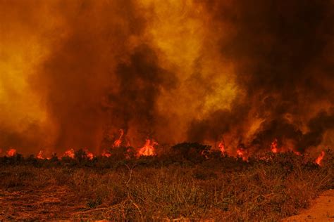 Incêndio Que Devasta O Pantanal Desde Julho é O Maior Da História Diz