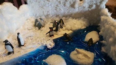 Penguin Diorama Materials Used Box Card Board Styrofoam Cotton