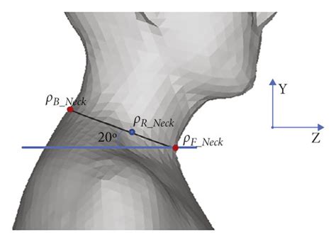 Extraction Of Anterior Cervical Point And Cervical Point Download