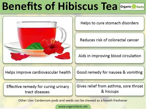 Amazing Hibiscus Tea Health Benefits Organic Facts Recipe