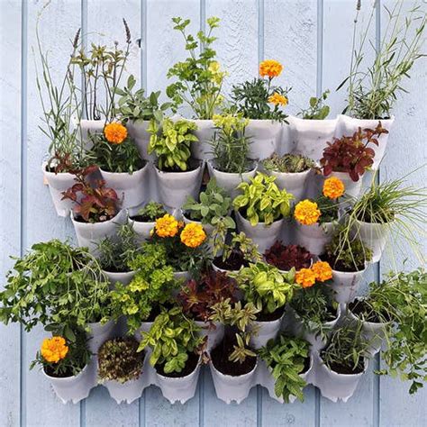 15 Edible Living Wall Ideas For Small Spaces Balcony Garden Web