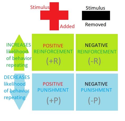 Words to describe negative reinforcement examples - feryedit