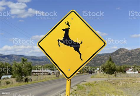 Deer Crossing Warning Sign On Road Stock Photo Download Image Now