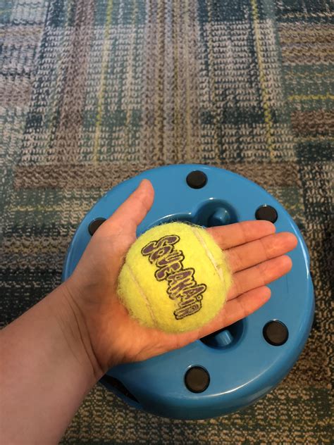 A Dog Trainer’s Honest Review of the iFetch Frenzy - Leash and Learn