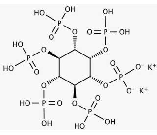 Phytic Acid Dipotassium Salt CAS 129832 03 7 SCBT Santa Cruz