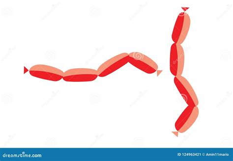 Funny Sausage Shape Stock Illustration Illustration Of Kitchen 124963421