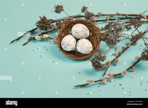 Easter Holiday Background Nest With Small Eggs Branches Of Pussy Willow Greeting Card Spring