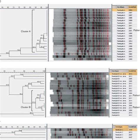 Dendrograms Of Pfge Patterns Following Xba I Digestion Of Genomic Dna