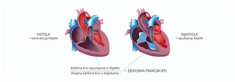 Zatajivanje Srca Kako Radi Zdravo Srce