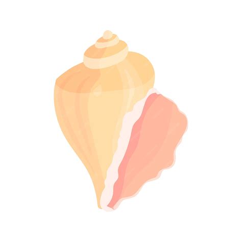 Premium Vector Conch Flat Cartoon Vector Illustration Isolated On