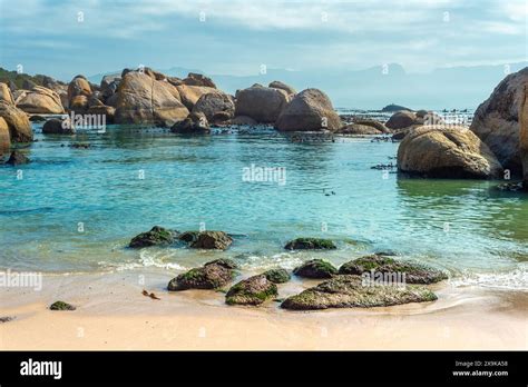 boulders beach  simons town south africa stock photo alamy