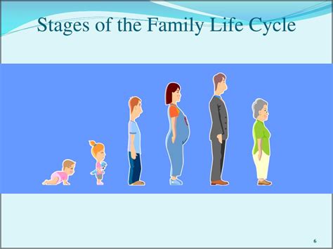 PPT - The Family Life Cycle PowerPoint Presentation, free download - ID:291986