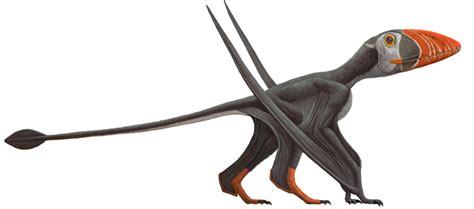 Pterosaur Facts, Habitat, Size, Diet, Fossil, and Pictures