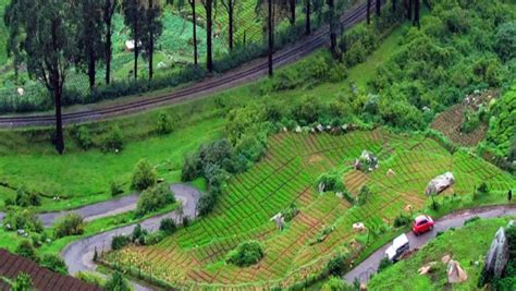 ooty originals