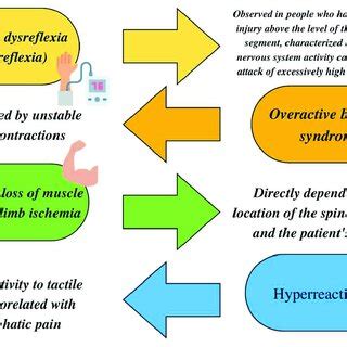 Types of disturbances in tetraplegia. | Download Scientific Diagram