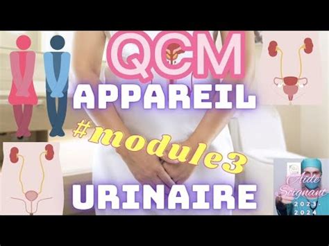 QCM APPAREIL URINAIRE Aide Soignante Module3 Deas YouTube