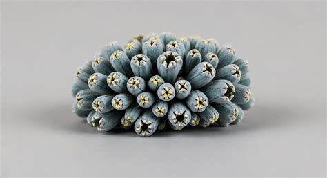 Deceptive Communication → Area → Sustainability