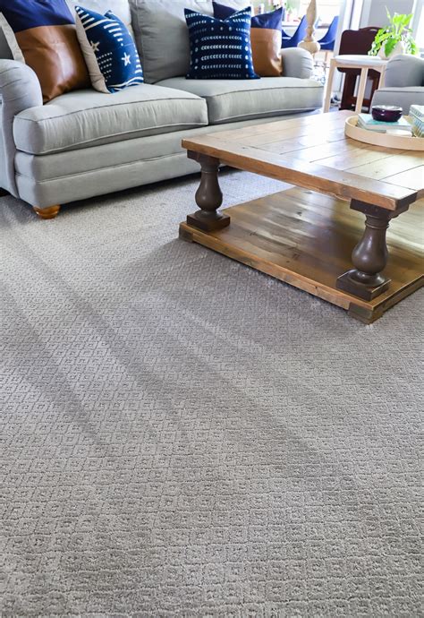 The Best Pet-Friendly Carpet