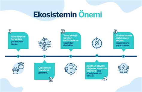 Maddede Ekosistem Nedir Garanti Bbva