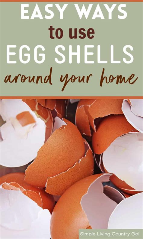 How To Use Eggshells Simple Living Country Gal