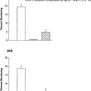 Effect Of Rho Inhibitor Clostridium Botulinum C3 Exozyme On Ang