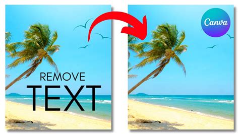 How To Remove Text From An Image In Canva YouTube