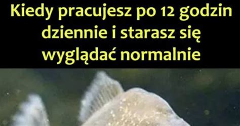 Czuje Si Jak Ryba W Wodzie S