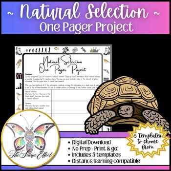 Natural Selection One Pager Project ~ Science One Pager Research Project