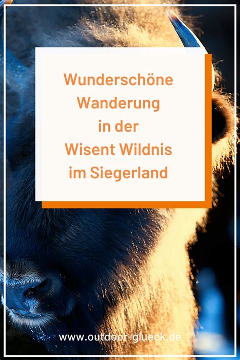 Wanderung Auf Dem Wisentpfad Und In Der Wisent Wildnis Wandern Zu Den