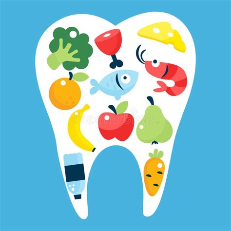 Food For Healthy Teeth Concept With White Tooth Stock Vector