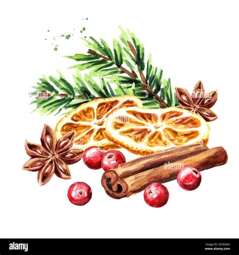 Christmas Spices Dried Orange Slices Star Anise And Cinnamon Stick