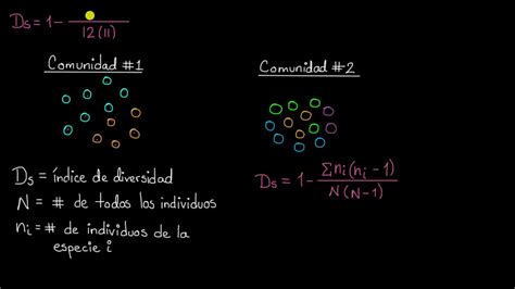 Ndice De Diversidad De Simpson Khan Academy En Espa Ol Youtube