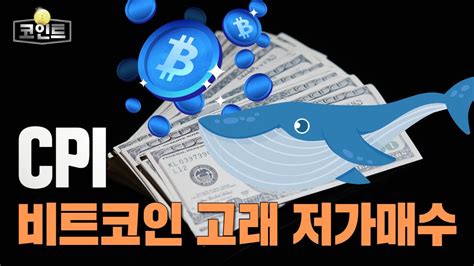 Cpi 악재에도 비트코인 고래 저가매수 Youtube