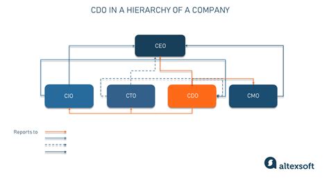 Chief Digital Officer Role And Responsibilities Altexsoft