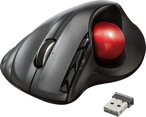 Trust Sferia Trackball Wireless Nero Amazon It Informatica