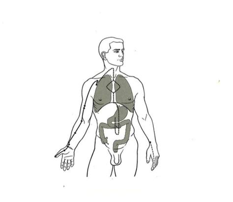 Primary Luo Connecting And Divergent Channels Flashcards Quizlet