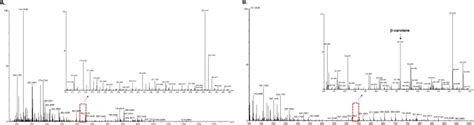 Improving The Efficiency Of Homologous Recombination By Chemical And