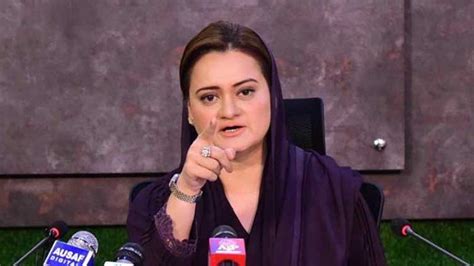 Marriyum Rejects Tasneem Haiders Allegations Says He Has No Relation