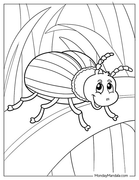 20 Beetle Coloring Pages (Free PDF Printables)