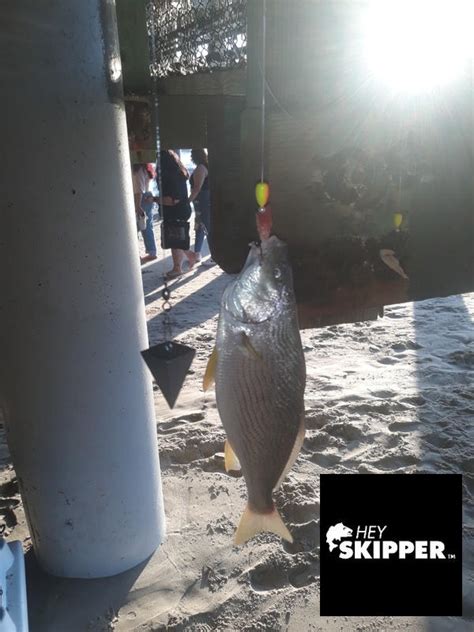 Beach Bait Box Hey Skipper