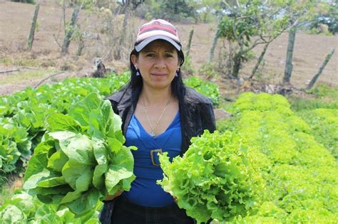 Joven Destaca En La Horticultura Agrodiario