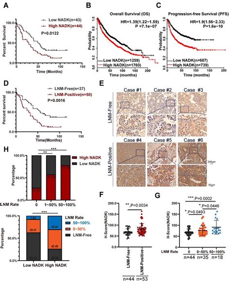 Nicotinamide Adenine Dinucleotide Kinase Promotes Lymph Node Metastasis Of Nsclc Via Activating