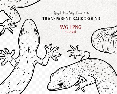 Gecko Vector Clipart Set Reptile Lizard Line Art Design Cuts