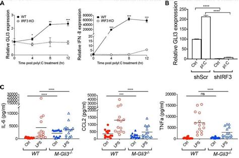 A Novel Mechanism Of Regulation Of The Oncogenic Transcription Factor