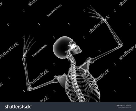 X Ray Human Body 3d Render Stock Illustration 1141863554 Shutterstock