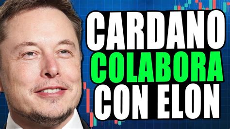 El Ceo De Cardano Revela Posible Acuerdo Con Elon Musk Ada Explotar