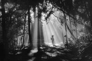 Black And White Photos Prove The Importance Of Light In Photography