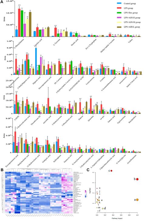 Frontiers Metabolomic Profiling Combined With Network Analysis Of