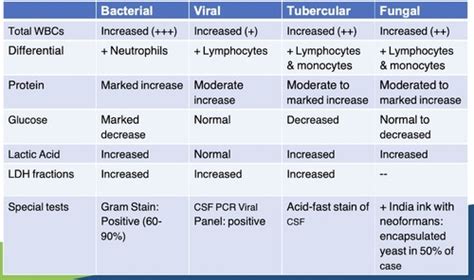 Clin Med Lab II Unit 2 Neuro Flashcards Quizlet